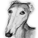 dog art
