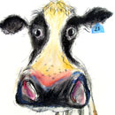 mad cow, wildlife