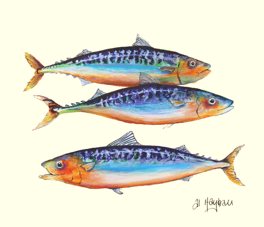 fish art, mackerel, three little fishes, 