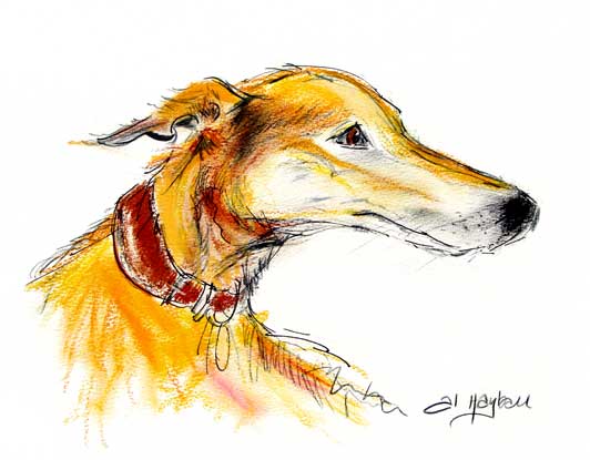 Lurcher, whippet, grehound art,